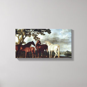 George Stubbs - Stuten und Fohlen in einer Leinwanddruck