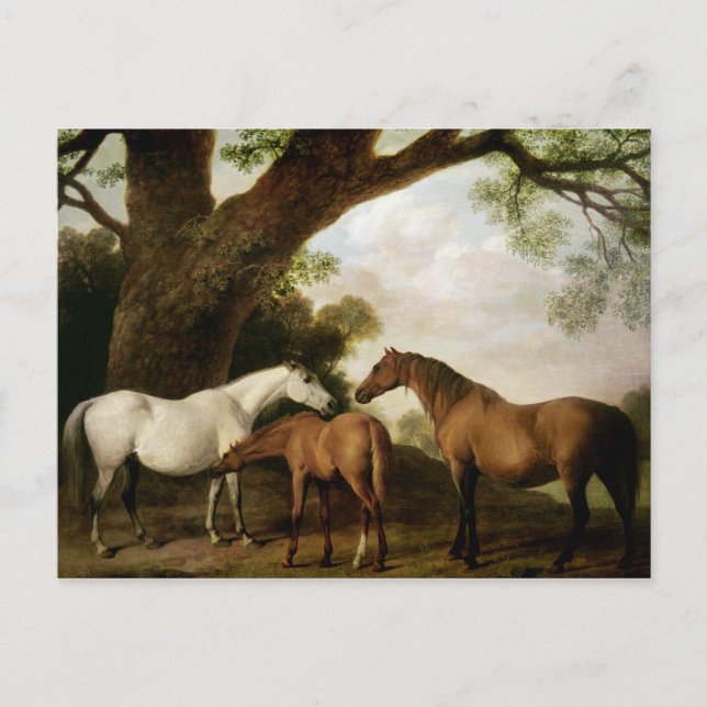 George Stubbs | Two Shafto Mares and a Foal, 1774 Postkarte (Vorderseite)