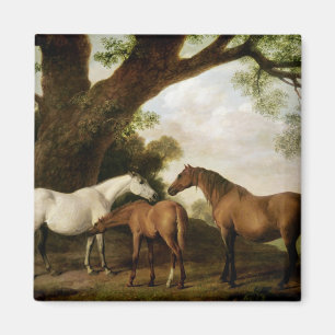 George Stubbs zwei Shafto Stuten und ein Fohlen, Magnet