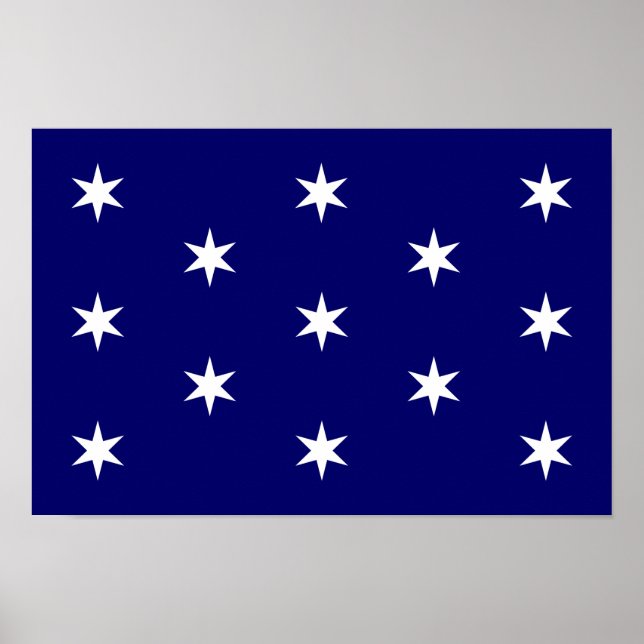 George Washingtons Persönliche Flagge Poster (Vorne)