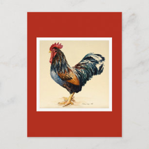 George's Cockerel 2007 Postkarte