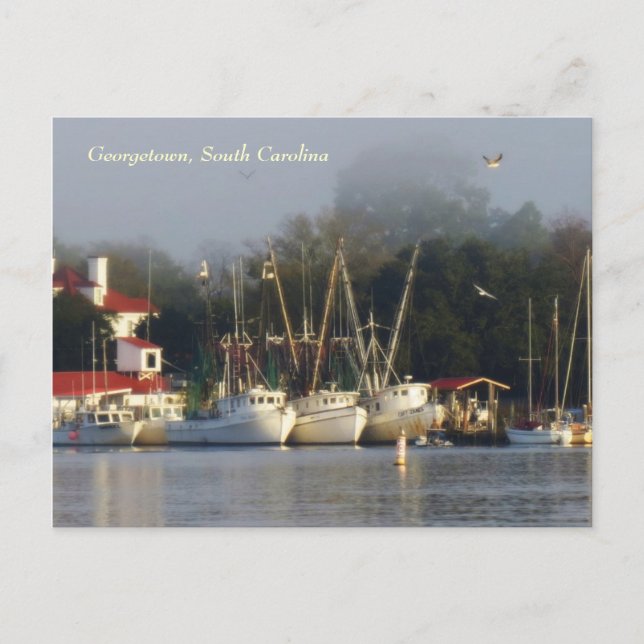 Georgetown Shrimp Boats Souvenir Postcard Postkarte (Vorderseite)