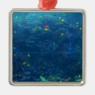 Georgia-Aquarium Ornament Aus Metall