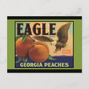 Georgia Eagle Peaches Postkarte