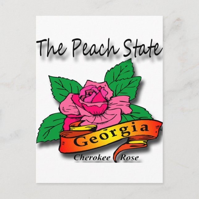 Georgia Peach Staat Cherokee Rose Postkarte (Vorderseite)