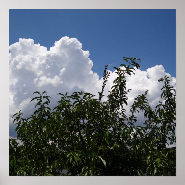 Georgia Peach Tree Fluffy White Clouds Poster (Vorne)
