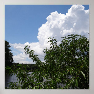 Georgia-Pfirsich-Baum-flaumige weiße Wolken Poster