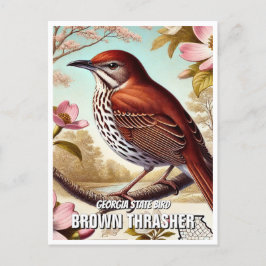 Georgia Staat Bird Brown Thrasher Postkarte