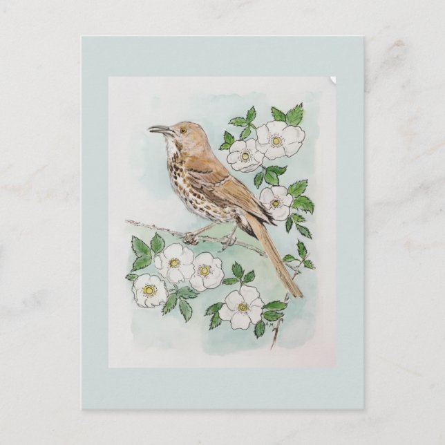 Georgia state bird and flower  postkarte (Vorderseite)