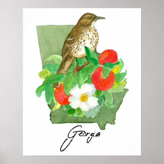 Georgia State Shape Bird Brown Thrasher Poster (Vorne)