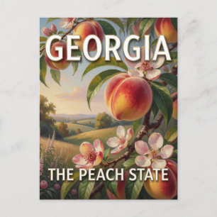 Georgia State Stolz 🍑 Reife Pfirsiche Obstgarten Postkarte