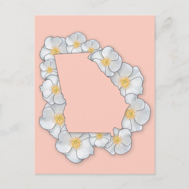 Georgien Staat Blume - Cherokee Rose Postkarte (Vorderseite)