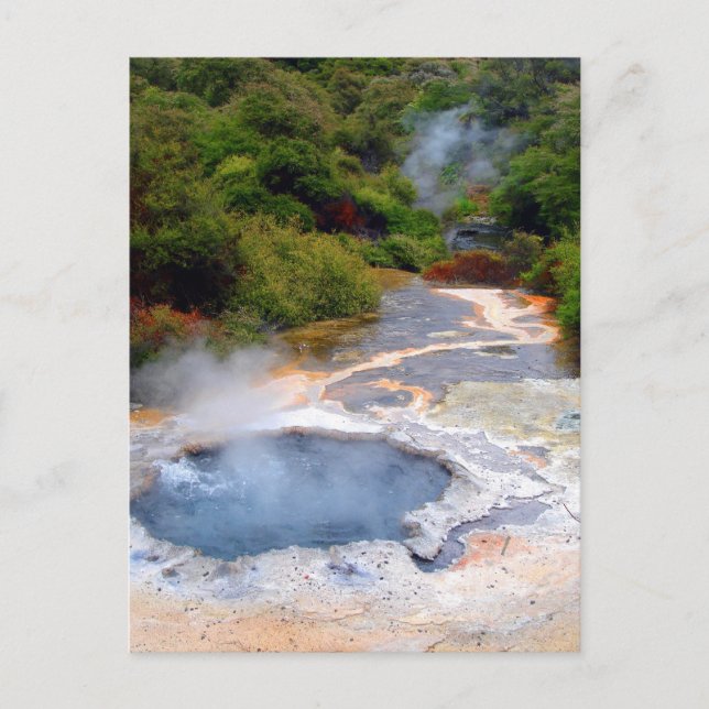 Geothermale Aktivität in der Nähe von Rotorua, Neu Postkarte (Vorderseite)