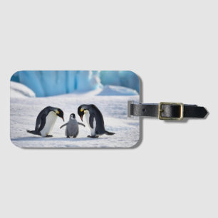 Gepäckanhänger für die Familie Pinguin