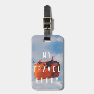 Gepäckanhänger mit Lederband