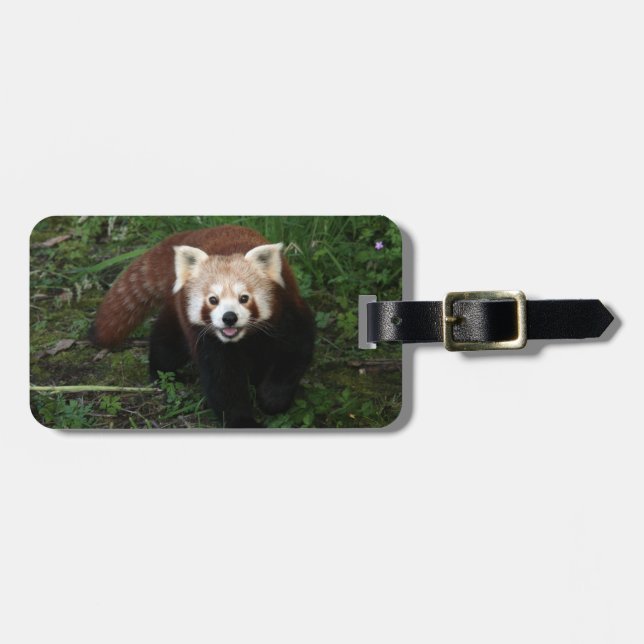 Gepäckanhänger - roter Panda (Vorderseite horizontal)