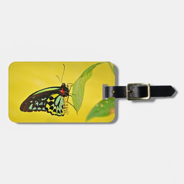 Gepäckmarke Gepäckanhänger (Vorderseite horizontal)