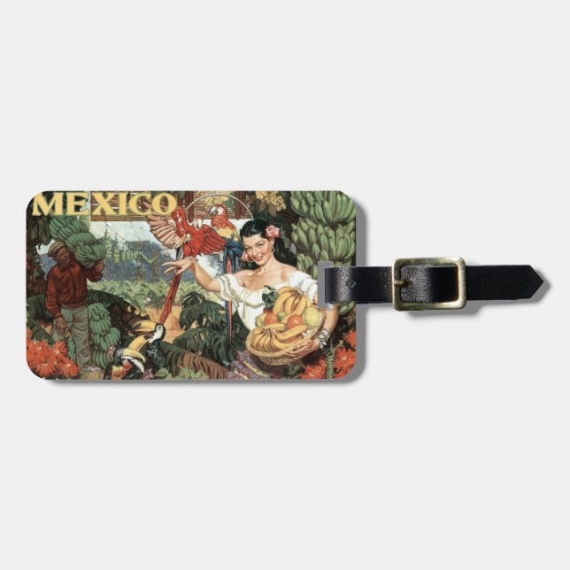 Gepäckumbau Vintager Reise Mexikos Gepäckanhänger (Vorderseite horizontal)