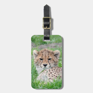 Gepard20150904 Gepäckanhänger