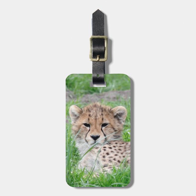 Gepard20150904 Gepäckanhänger (Vorderseite vertikal)