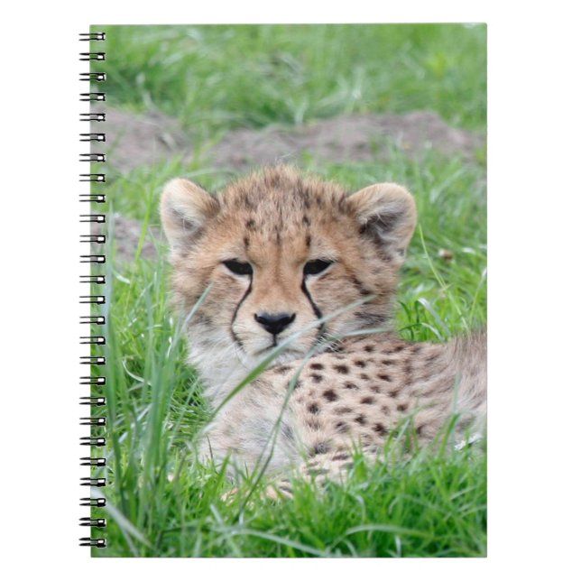 Gepard20150904 Notizblock (Vorderseite)