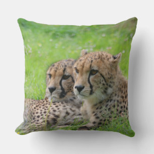 Gepard 001 kissen