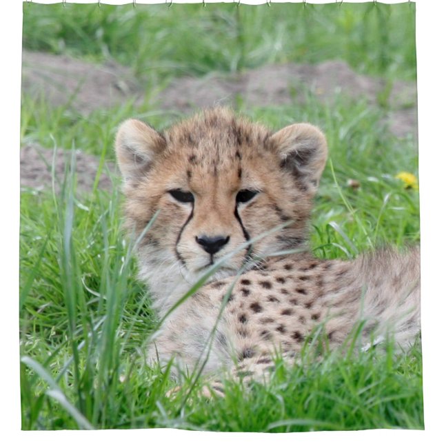 Gepard 002 duschvorhang (Vorderseite)
