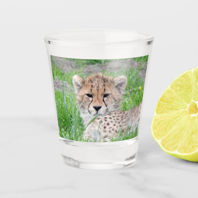 Gepard 002 schnapsglas (Vorderseite)