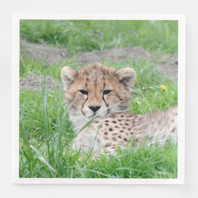 Gepard 002 serviette (Vorderseite)