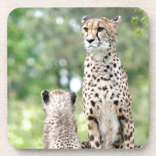 Gepard 004 getränkeuntersetzer