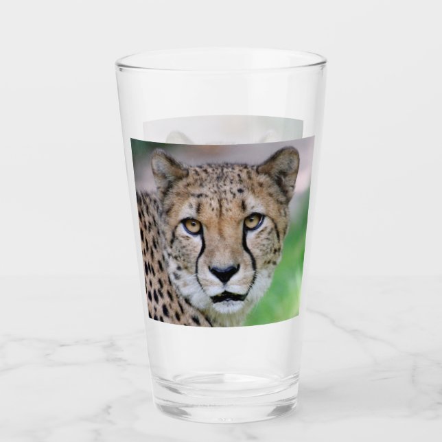 Gepard 009 glas (Vorderseite)
