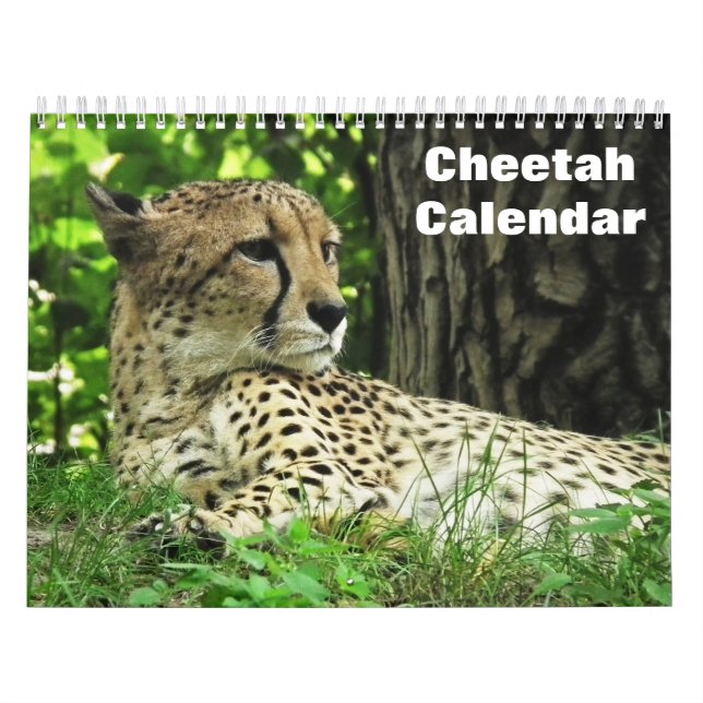 Gepard 2025 kalender (Titelbild)