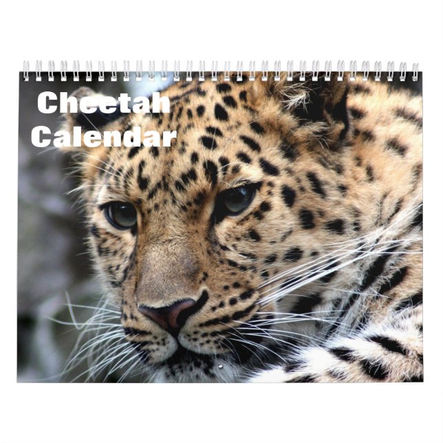 Gepard 2027 kalender (Titelbild)