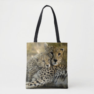 Gepard, Acinonyx jubatus 2 Tasche