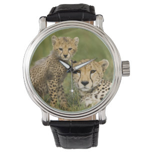 Gepard, Acinonyx jubatus, mit Jungtier Armbanduhr
