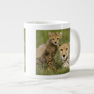 Gepard, Acinonyx jubatus, mit Jungtier Jumbo-Tasse