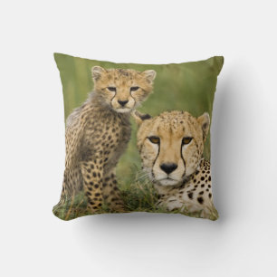 Gepard, Acinonyx jubatus, mit Jungtier Kissen