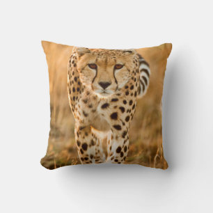 Gepard (Acinonyx Jubatus) Portrait, Maasai Kissen