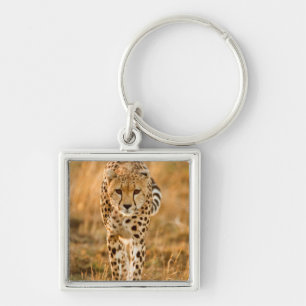 Gepard (Acinonyx Jubatus) Portrait, Maasai Schlüsselanhänger