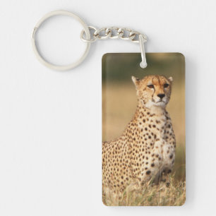 Gepard auf kleiner Anhöhe für bessere Sichtbarkeit Schlüsselanhänger