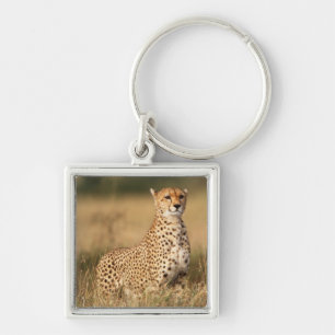 Gepard auf kleiner Anhöhe für bessere Sichtbarkeit Schlüsselanhänger