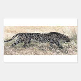Gepard-Aufkleber 1 Rechteckiger Aufkleber
