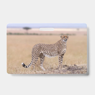 Gepard Ausweis