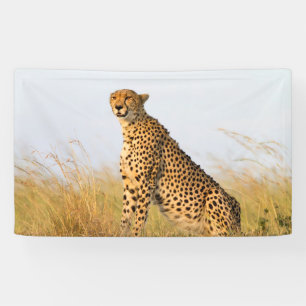 Gepard Banner
