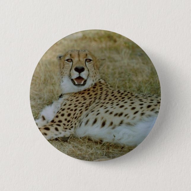 Gepard Button (Vorderseite)