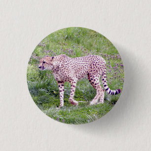 Gepard Button