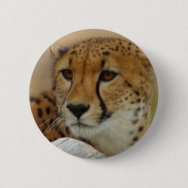 Gepard Button (Vorderseite)