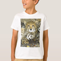 Gepard CUB 2
