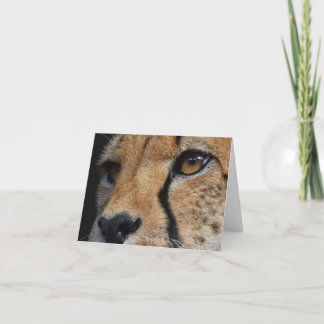 Gepard danken Ihnen zu kardieren Dankeskarte