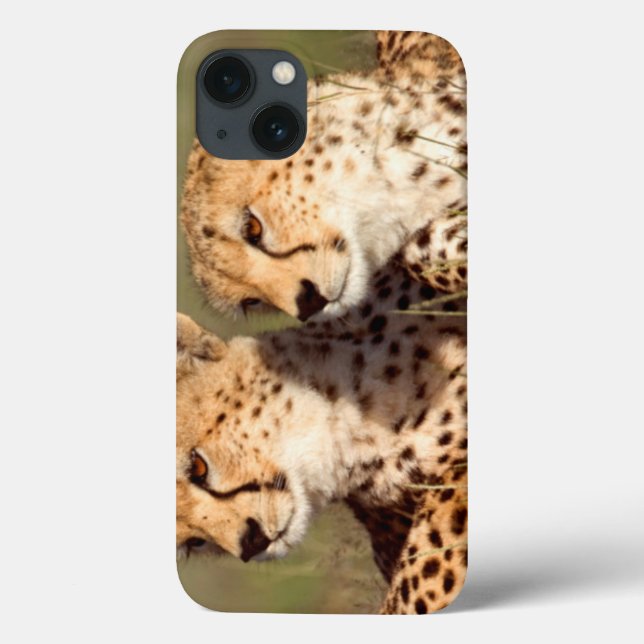 Gepard, der im Gras, Ngorongoro Erhaltung liegt Case-Mate iPhone Hülle (Rückseite)